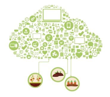 ICT/IoT technology in agriculture Schematic diagram of cooperation